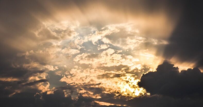 Wunderwaffe Selen gegen Kreb Wunderwaffe Selen gegen Kreb