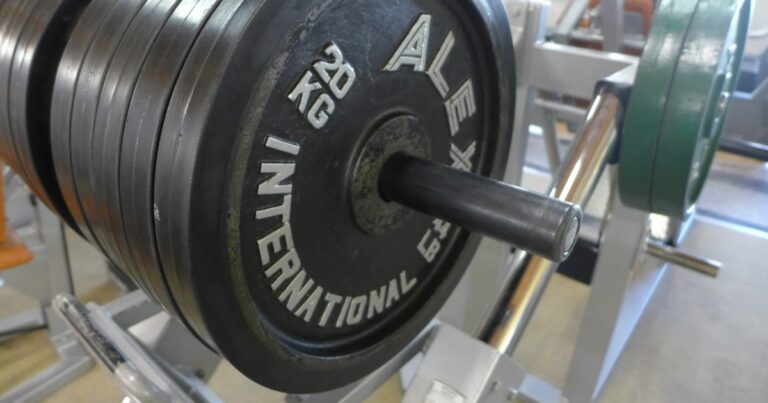 Eiweiß und Muskelaufbau Eiweiß und Muskelaufbau