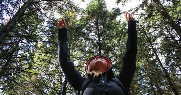 Essen Sie Leben: Die Leber Essen Sie Leben: Die Leber