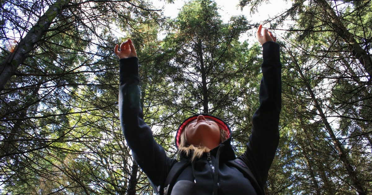 Essen Sie Leben: Die Leber