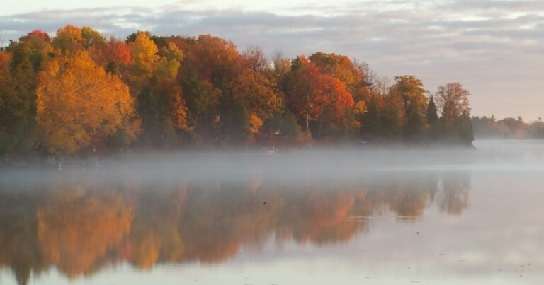 Die Vitamin D Zeit ist wieder da! Die Vitamin D Zeit ist wieder da!
