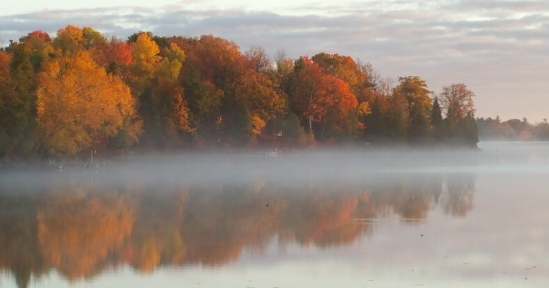 Die Vitamin D Zeit ist wieder da! Die Vitamin D Zeit ist wieder da!