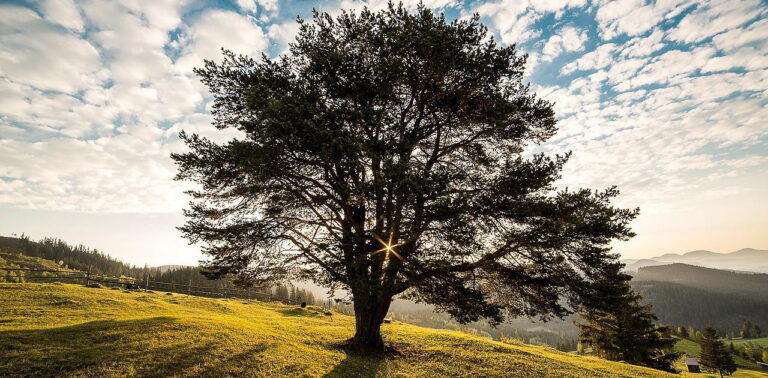 Vorstellung: Heilblog von Dr. Andreas Oberhofer Vorstellung: Heilblog von Dr. Andreas Oberhofer