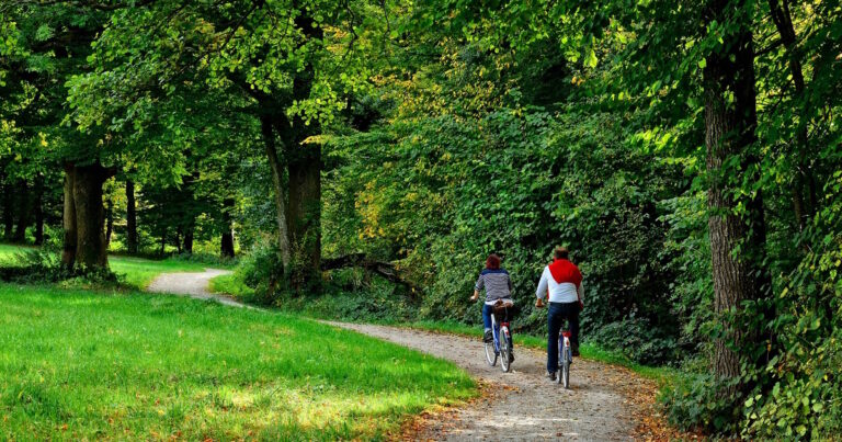 Bewegung ist das stärkste Medikament Bewegung ist das stärkste Medikament