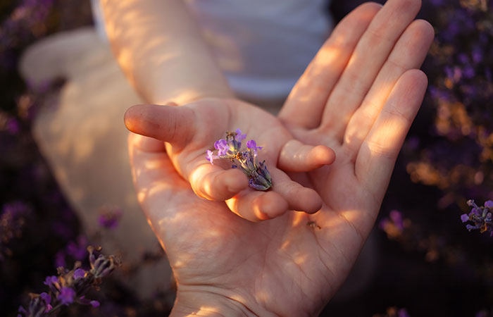 Apotheke Mühlau Innsbruck - Aromatherapie für Babys Apotheke Mühlau Innsbruck - Aromatherapie für Babys