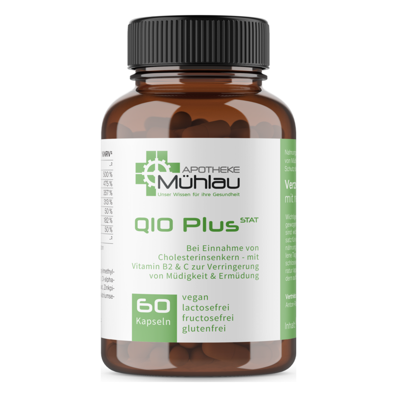 Q10 Plus Stat 2025 (1)