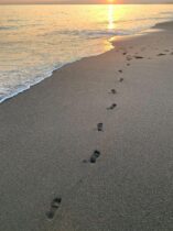 sea beach ocean healing earth 4590986 sea beach ocean healing earth 4590986