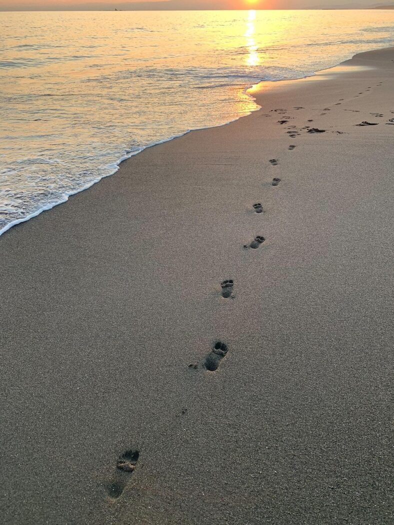 sea beach ocean healing earth 4590986