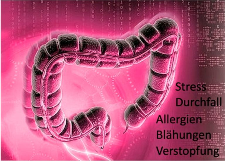 „Stilisierte medizinische Illustration eines menschlichen Darms/Colons in leuchtendem Pink vor digitalem Hintergrund mit Binärcode-Muster; daneben stehen die Begriffe: Stress, Durchfall, Allergien, Blähungen, Verstopfung.“