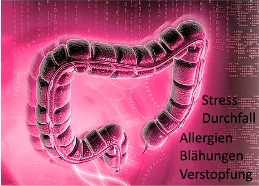 Darm „Stilisierte medizinische Illustration eines menschlichen Darms/Colons in leuchtendem Pink vor digitalem Hintergrund mit Binärcode-Muster; daneben stehen die Begriffe: Stress, Durchfall, Allergien, Blähungen, Verstopfung.“